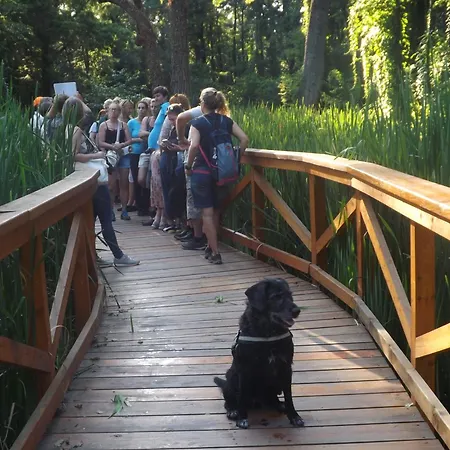 Appartement Centrum Guide Hévíz