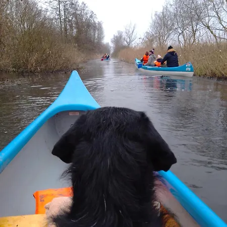 Centrum Guide Apartment *