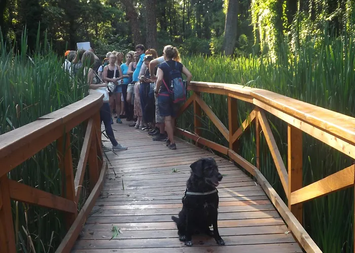 Appartement Centrum Guide Hévíz